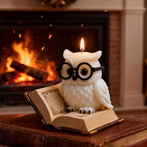 May include: A white owl-shaped candle with black glasses sits atop an open book. The candle has a lit wick and is placed on a brown book. The background features a fireplace with a burning fire.