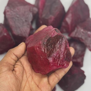 May include: A selection of raw ruby gemstones, displaying a deep crimson hue. The stones have a rough, unpolished texture. One ruby is held in a hand, highlighting its size. Other rubies are visible in the background.