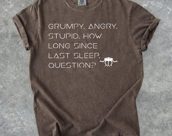 Grumpy Rocky Zitat Vintage T-Shirt, Projekt Hail Mary Rocky inspiriert Sci-Fi Shirt, Bookish Comfort Farben Geschenk