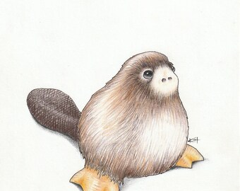 No-billed Platypus 5x7 (8x10 matte) Giclée Print