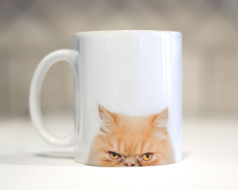 Red Tabby Cat Mug Cat Lover Funny Cat Mug Cat Gift Kitty Cat Mugs Crazy Cat Owner Cat Owner Gift Cat Obsessed Kitty Mugs image 7