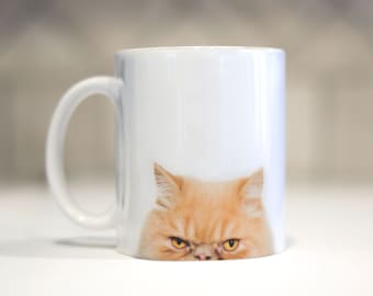 Persian Cat Mug - Cat Lover - Funny Cat Mug - Persian Kitty - Kitty Cat Mugs - Crazy Cat Owner - Cat Owner Gift - Cat Obsessed - Kitty Mugs