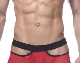 Red Sheer Mesh Men's Boxers with Waist Band, Sexy Men Lingerie Cutout Boxer Shorts, See Through Male Underwear, Anniversary Gift for Him