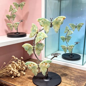 a decorative butterfly sculpture on a wooden table, with a glass display case in the background.
