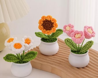 Mini bouquet di fiori all'uncinetto in vaso, regalo per la migliore amica, idea regalo per la festa della mamma, apprezzamento per l'infermiera, complemento d'arredo fatto a mano, fiori che non appassiscono mai