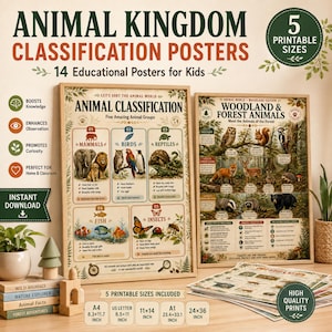 Può includere: Due poster educativi intitolati Animal Classification e Woodland & Forest Animals. I poster presentano illustrazioni di vari animali classificati per gruppo, inclusi mammiferi, uccelli, rettili, pesci e insetti, con testo descrittivo ed etichette.