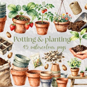 May include: A watercolour illustration featuring gardening items. It includes terracotta pots, a hanging basket with flowers, a trowel, a bag of soil, seed packets, and plants with strawberries and tomatoes. The text "Potting & planting 45 watercolour pngs" is also visible.
