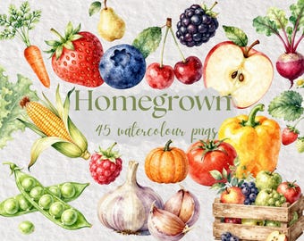 Fruit & Vegetable Watercolor Clipart Bundle, Garden Harvest Clip Art, Fruits Veggies graphics, Farmers Market Produce, sublimation png