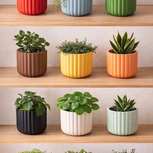 以下が含まれることがあります： さまざまな緑色の植物が植えられた、カラフルなリブ付きセラミックプランターのコレクション。 プランターは木製の棚に配置されており、赤、青、緑、茶色、黄色、オレンジ、黒、白、ピンクなど、さまざまな色を展示しています。 各プランターには異なる種類の植物が含まれています。