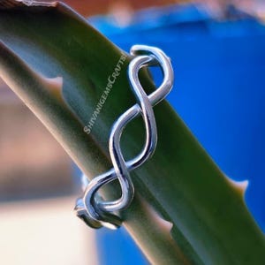 Könnte beinhalten: Ein silberner Unendlichkeitsring. Der Ring ist um einen grünen Pflanzenstiel gewickelt. Der Hintergrund ist ein verschwommenes Blau. Der Ring ist eine Endlosschleife, die Ewigkeit und unendliche Möglichkeiten symbolisiert. Das Design ist schlicht und elegant.