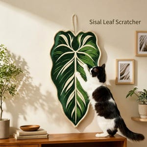 May include: A wall-mounted Sisal Leaf Scratcher shaped like a large green leaf with cream-coloured veins and a thick rope border. The textured surface features a central stem and radiating leaf patterns, designed for cats to scratch.