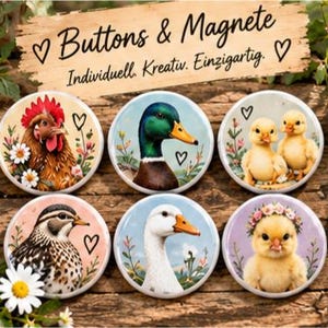 Könnte beinhalten: Sechs runde Buttons mit Illustrationen von einem Hahn, einer Stockente, zwei Entenküken, einer Wachtel, einer weißen Gans und einem Küken mit Blumenkranz. Darüber steht der Text "Buttons & Magnete" sowie "Individuell. Kreativ. Einzigartig.".