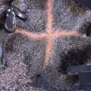 Pode incluir: Uma vista aproximada de cabelo escuro e texturizado dividido em quatro sec&ccedil;&otilde;es distintas com uma risca em forma de cruz. O couro cabeludo &eacute; vis&iacute;vel ao longo das linhas de separa&ccedil;&atilde;o e ganchos de pl&aacute;stico preto mant&ecirc;m as sec&ccedil;&otilde;es separadas.