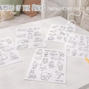 Animals of the Andes, educational activity and coloring pages, andes animals, homeschool resources and cut and paste, Printable (PDF) Bild 2