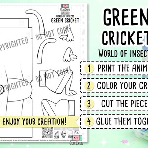 Op de afbeelding: Een printbaar knutselblad getiteld Green Cricket World of Insects met zwart-witte contouren van krekellichaamsdelen, ogen en poten. Instructies: 1 Print de dieren, 2 Kleur je knutselwerk, 3 Knip de stukjes uit, 4 Lijm ze aan elkaar.