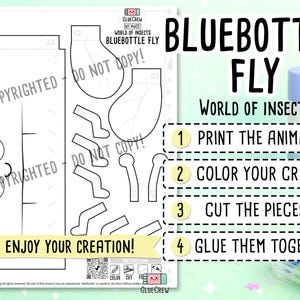 Bluebottle Fly Printable Paper Craft, 3D Kids DIY Kit, Geography Extension Montessori Primary Science Activity for Home and School bild 2
