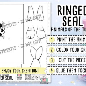 Ringed Seal 3D Paper Craft | Printable Animal Craft for Kids | Arctic Animals | Preschool Fine Motor Habitat Project | Science Project image 2