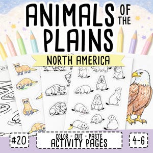 Animals of American Plains Kids Activity Book, Color & Cut and Paste, Preschool Coloring Printable Worksheets (PDF) image 1