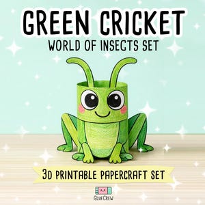 Insects Paper Craft Activity Pack - 14 DIY 3D Bugs for Classroom Homeschool Printable Fun bild 11