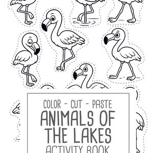 Animals of Lakes, preschool busy book and cut and paste, freshwater animals, toddler worksheets and coloring printables, Printable PDF image 12