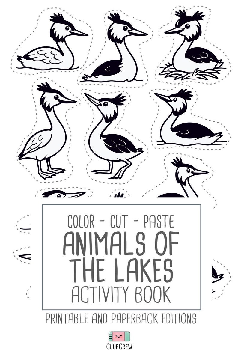Animals of Lakes, preschool busy book and cut and paste, freshwater animals, toddler worksheets and coloring printables, Printable PDF image 11