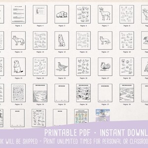 all the pages included in the Animals of American Plains Kids Activity Book, Color & Cut and Paste, Preschool Coloring Printable Worksheets (PDF)