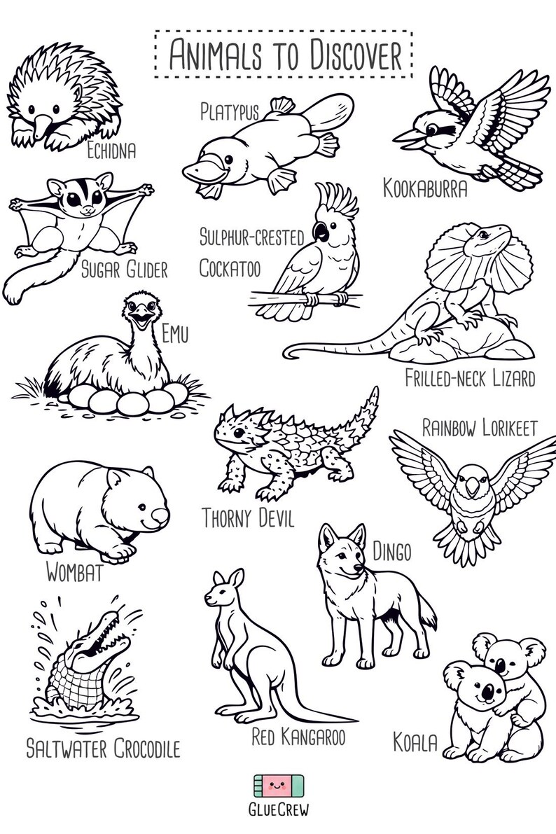 Australia Animals Activity Book | Kids Coloring, Cut & Paste (PDF Printable) image 3