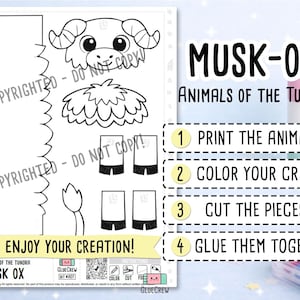 Musk Ox 3D Printable Paper Craft | Printable Kids Paper Craft Activity | Arctic Animals | Preschool Classroom Homeschool Activity DIY Craft imagem 2