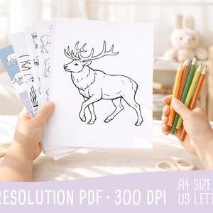a few example high resolution pages form Animals of American Plains Kids Activity Book Preschool Coloring Printable Worksheets (PDF)