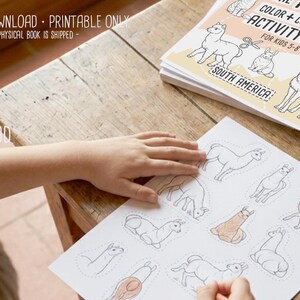 Animals of the Andes, educational activity and coloring pages, andes animals, homeschool resources and cut and paste, Printable (PDF) Bild 5