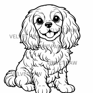 Op de afbeelding: Een zwart-wit illustratie van een Cavalier King Charles Spaniel hond die zit met zijn tong uit. De hond heeft grote ogen en een pluizige vacht. De tekst "VELVET PAW" wordt herhaald in de afbeelding.