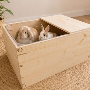Op de afbeelding: Een rechthoekige, lichtgekleurde houten kist met een gedeeltelijk deksel en een doorzichtige kunststof inzet. Twee konijnen, een beige-witte met hangoren en een kleiner wit-bruin konijn, zitten in de houten behuizing.