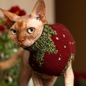 Peut inclure: Un chat Sphynx portant un pull en tricot conçu pour ressembler à une fraise. Le pull est rouge foncé avec de petites taches blanches et présente un col et des bordures côtelés vert texturé qui imitent l'apparence des feuilles de fraise.