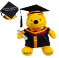 Personalized Graduation Bear Plush | Custom Name, Year & School Name Bear | Class of 2026 Gift | College High School Grad Keepsake product logo