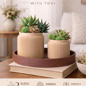 Puede incluir: Jardineras de suculentas acanaladas nórdicas con bandeja. Dos jardineras beige con textura acanalada, llenas de suculentas, se asientan sobre una bandeja marrón. La bandeja descansa sobre una pila de libros. El texto dice "2 tamaños disponibles" y "regalo perfecto".