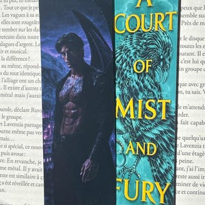 Op de afbeelding: Twee bladwijzers. Eén toont een gespierde man met tatoeages en donkere vleugels. De andere heeft de tekst "A COURT OF MIST AND FURY" met een vogelillustratie. Beide liggen op de pagina's van een boek.
