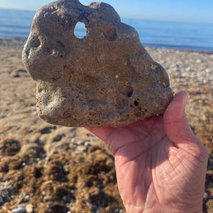 May include: A hand holds a weathered, tan-coloured rock with a natural hole against a beach backdrop. The rock's surface is textured with small holes and bumps. The background shows the ocean and a sandy beach.