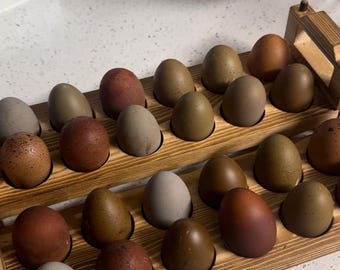 Rustic River Chicken Eggs | Blue Green Olive Brown Dozen