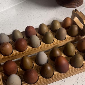 Rustic River Chicken Eggs | Blue Green Olive Brown Dozen