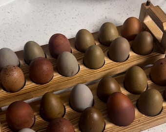 Rustic River Chicken Eggs | Blue Green Olive Brown Dozen