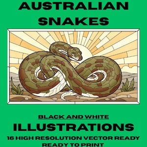 Australische Venom Vault 16 Eingeborene Schlangen