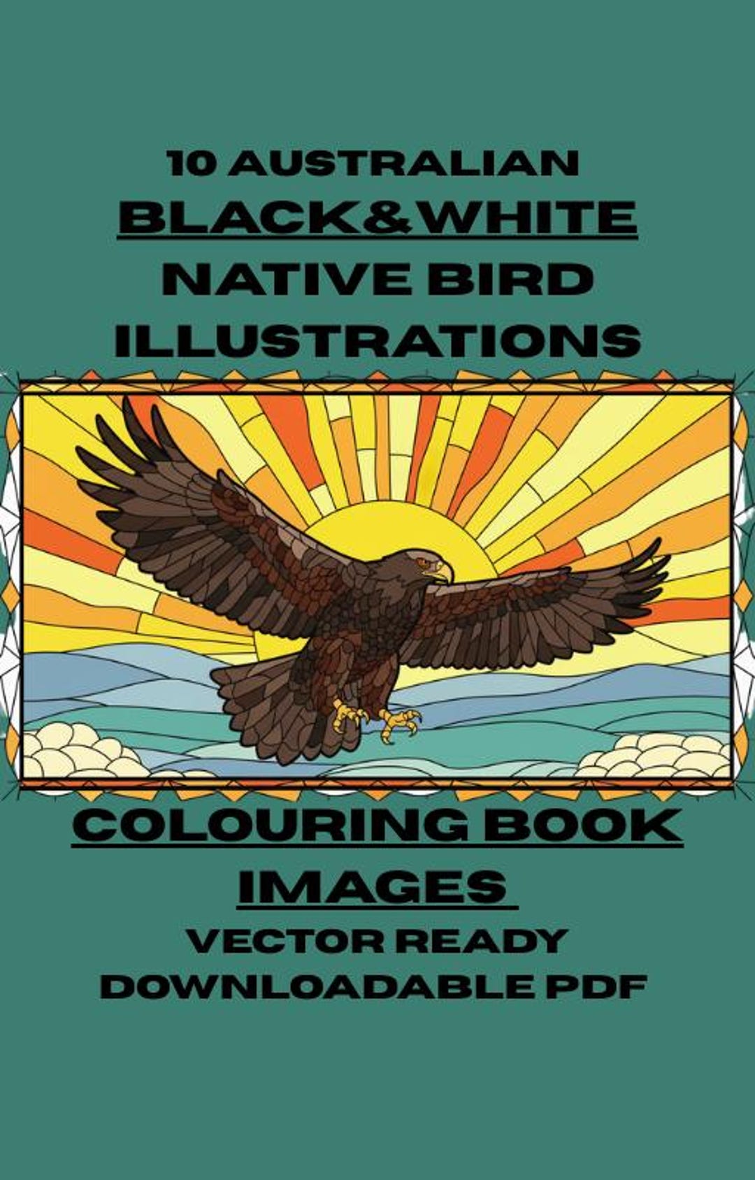 Australian Native Birds Colouring Book - Etsy