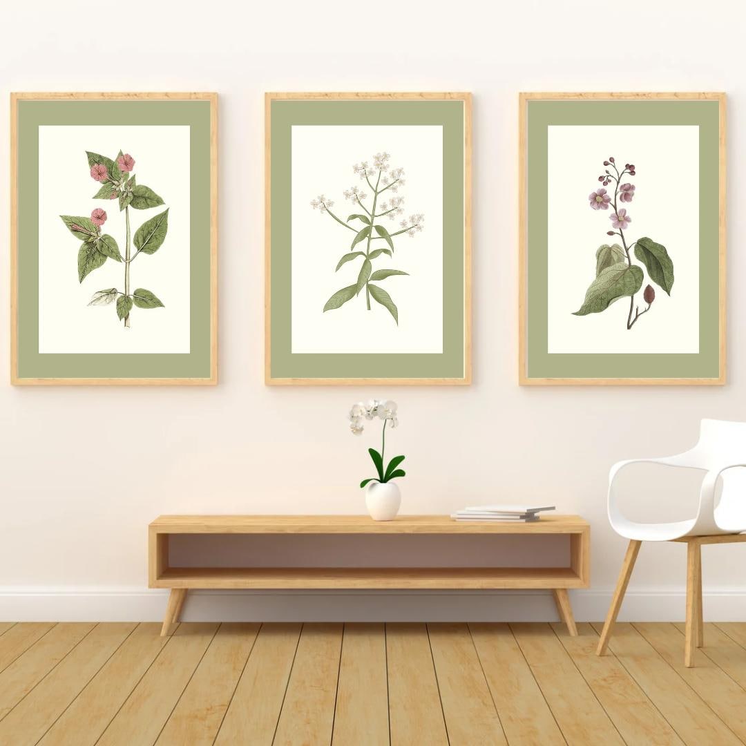 Vintage Botanical Floral Prints – Sage Green Farmhouse Wall Art Set ...