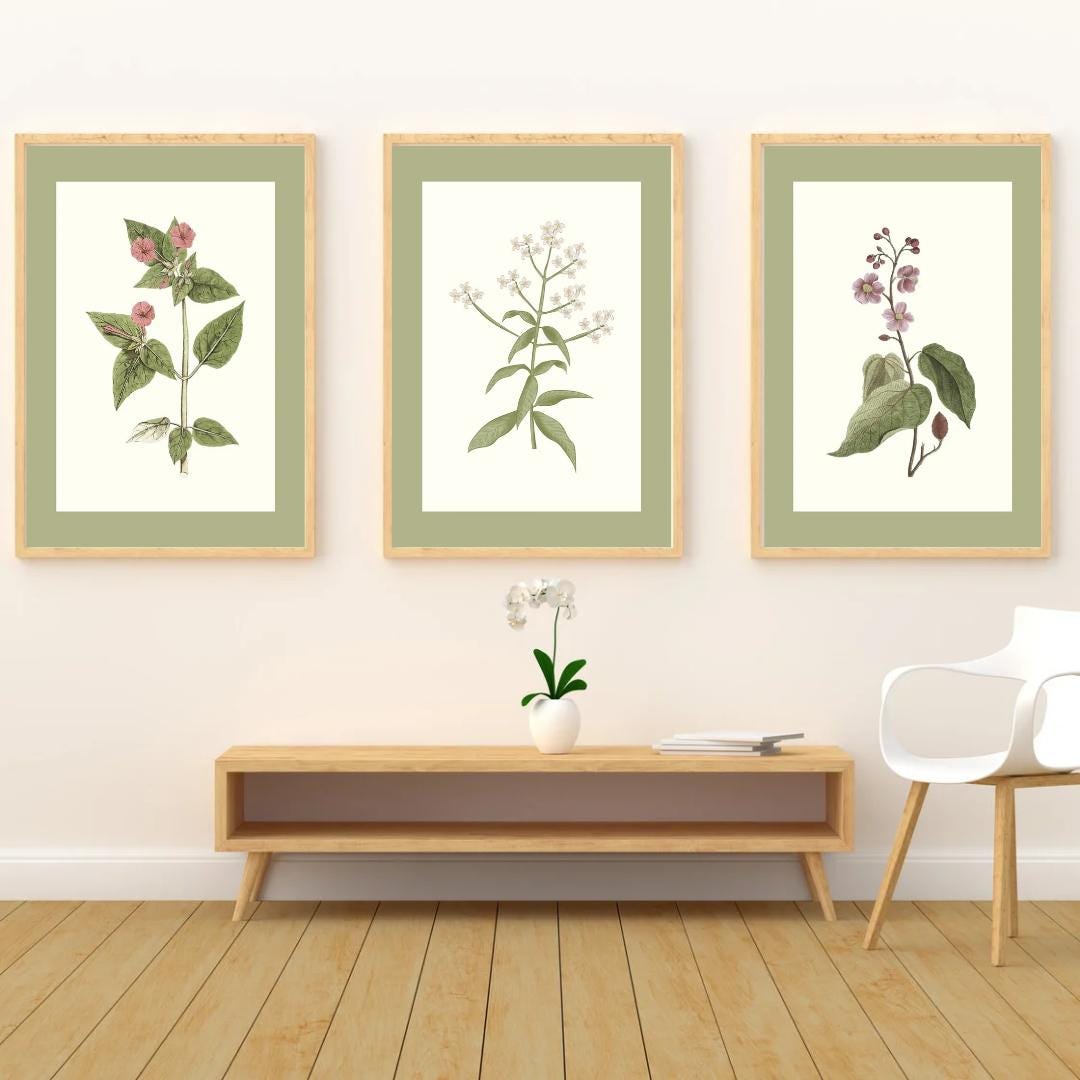 Vintage Botanical Floral Prints – Sage Green Farmhouse Wall Art Set ...