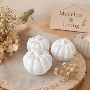 Può includere: Tre piccole zucche decorative bianco opaco con realistiche texture a coste. Le zucche sono disposte su un panno di tessuto beige chiaro. Sullo sfondo, un cartello in legno con la scritta Modelcar & Living e dei fiori secchi.