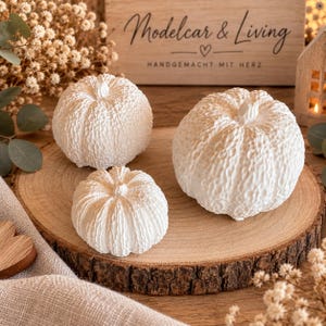 Op de afbeelding: Drie witte decoratieve pompoenen met een getextureerd, geribbeld oppervlak. De pompoenen zijn gerangschikt op een ronde houten schijf. Op de achtergrond staat een houten bord met de tekst Modelcar & Living, een hartje en HANDGEMACHT MIT HERZ.