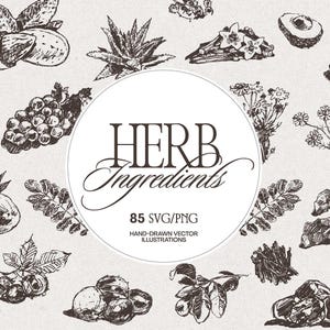 May include: A collection of dark brown hand-drawn botanical illustrations featuring various herbs, fruits, and plants on a light background. A central white circle contains the text HERB Ingredients, 85 SVG/PNG, and HAND-DRAWN VECTOR ILLUSTRATIONS.