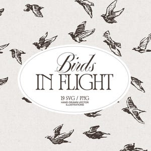 Puede incluir: Una colección de ilustraciones de aves dibujadas a mano en color marrón oscuro en varias posiciones de vuelo dispersas sobre un fondo beige claro. Un óvalo blanco central contiene el texto Birds IN FLIGHT, 19 SVG / PNG, HAND-DRAWN VECTOR ILLUSTRATIONS.