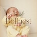 Dollnest