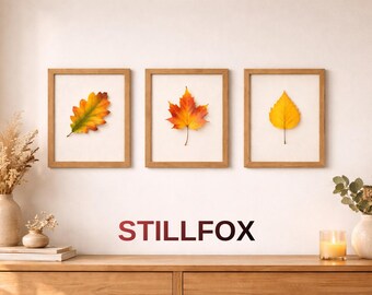 Ensemble d'art mural imprimable feuille d'automne, impressions botaniques minimalistes (téléchargement numérique)